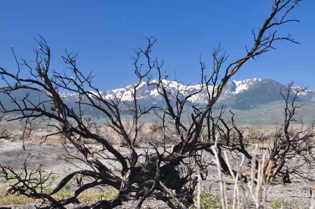 Mono Lake